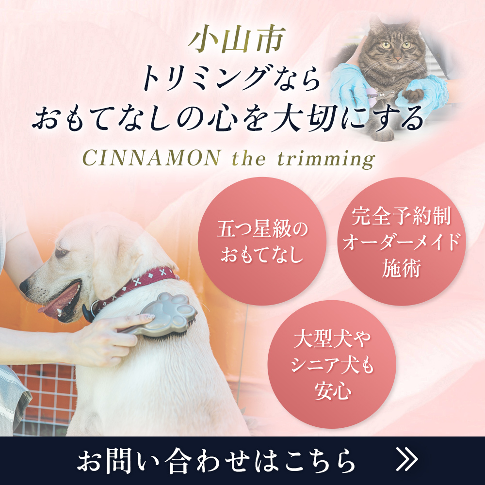 popup_banner